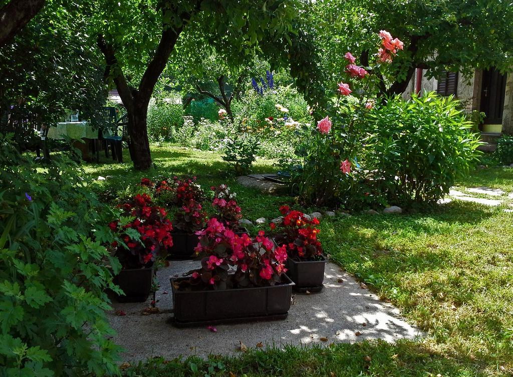 La Vecchia Casa Hotell Cetinje Eksteriør bilde